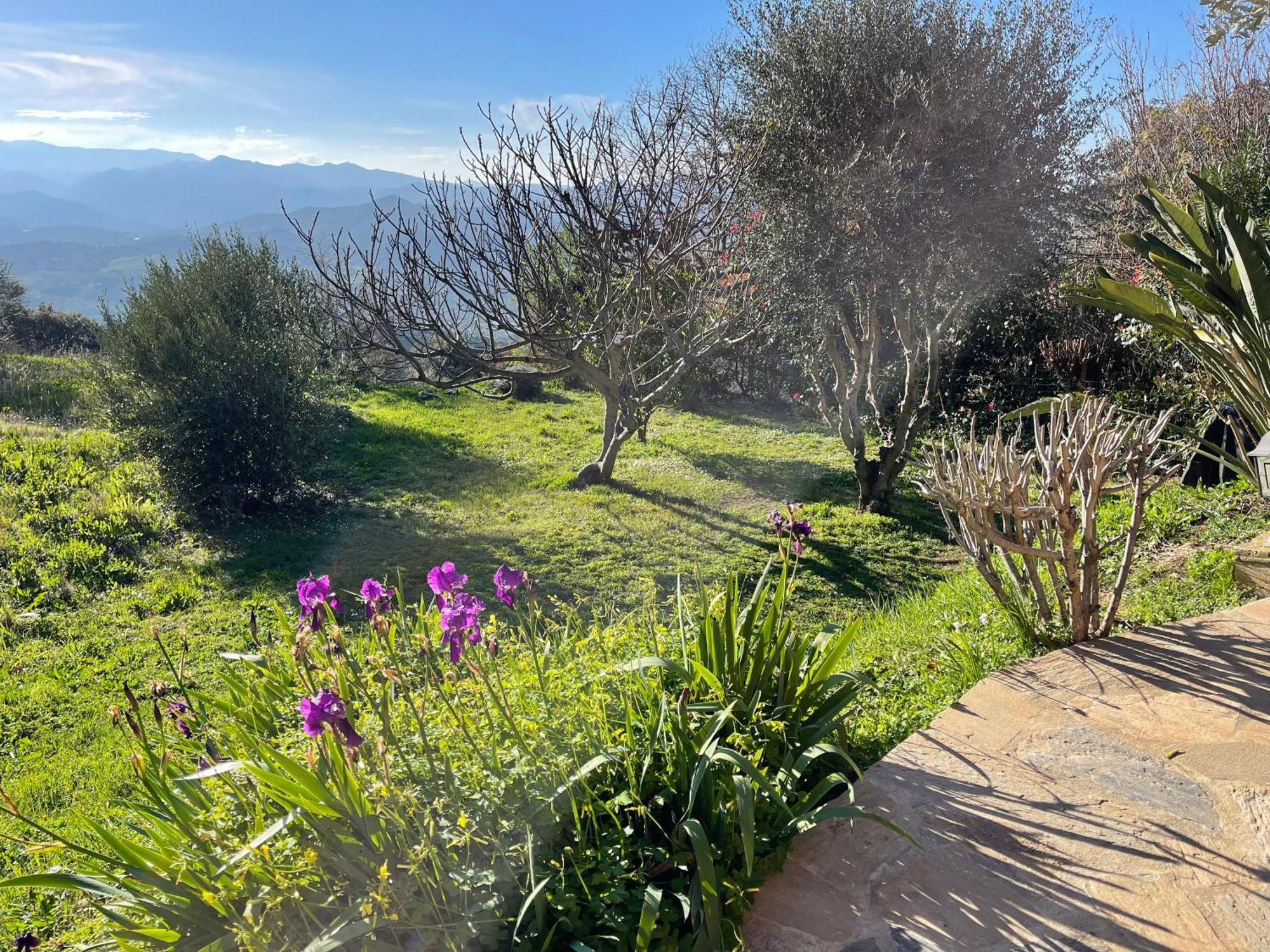 Carpediem_Corsica Poggio-d'Oletta Esterno foto